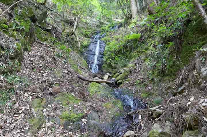 �Ȃ����E���� 